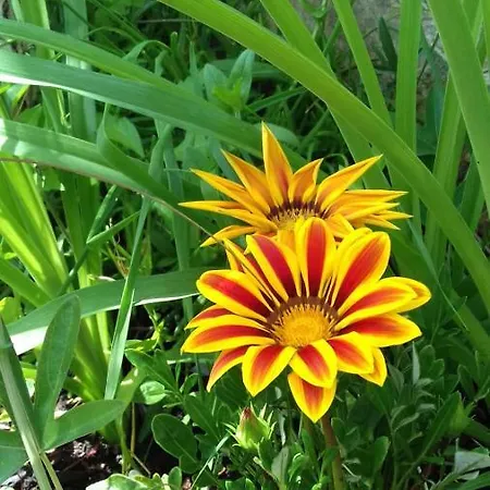 شقة Bella Vista *