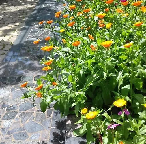 Bella Vista Appartamento *