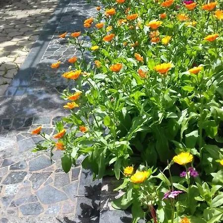 Bella Vista Apartment *