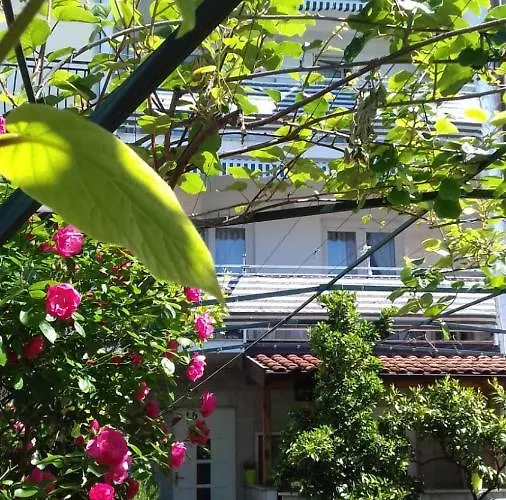 Bella Vista * Πόρετς