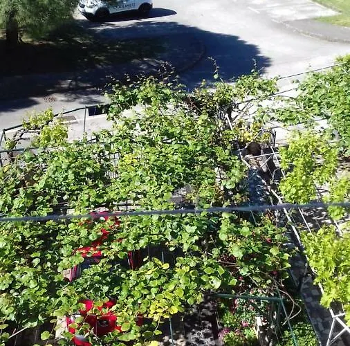 Bella Vista Апартаменти Пореч