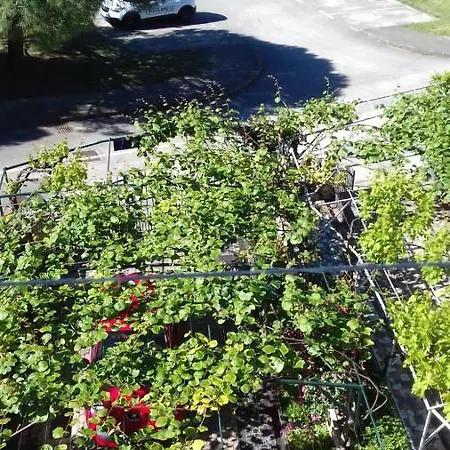 Bella Vista Apartman Poreč